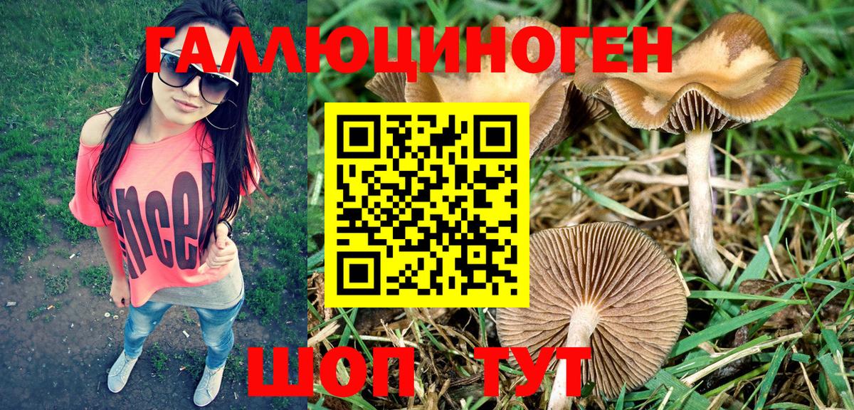 Псилоцибиновые грибы Magic Shrooms Южноуральск